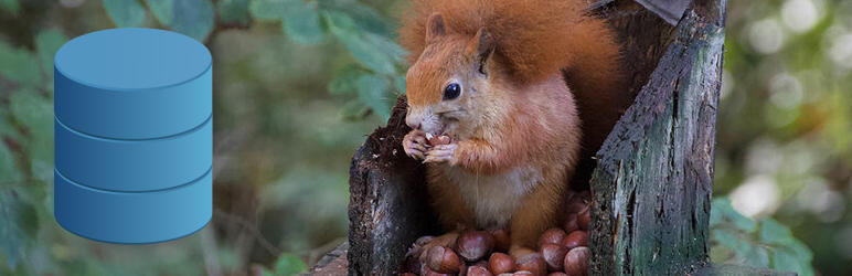 Plugin banner for SQLite Object Cache. A squirrel sitting on a cache of acorns in a hollow tree stump, munching on one. A blue database logo to the left.